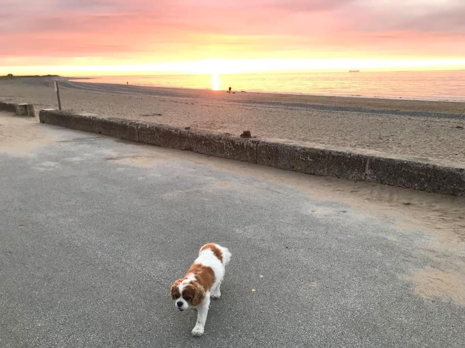 Holiday home Sea View House Lancashire Fleetwood
