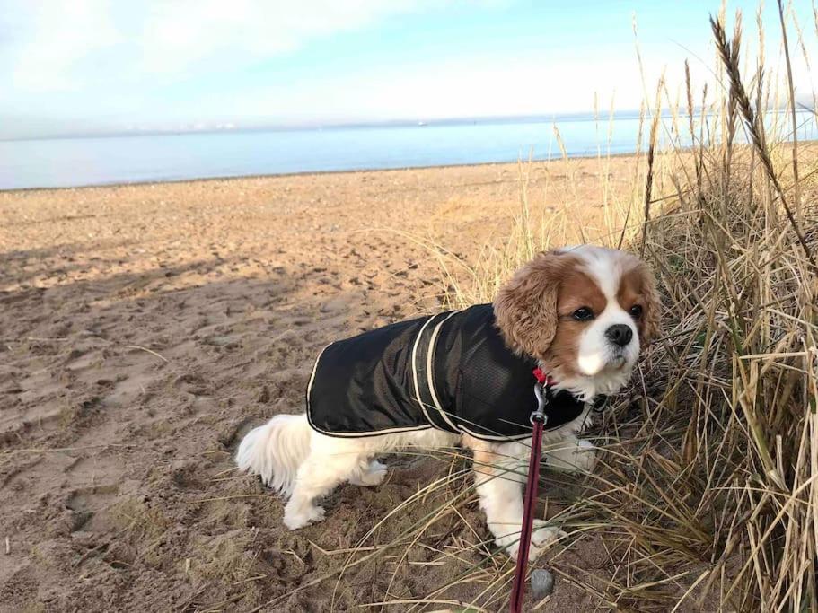 Sea View House Lancashire Holiday home *
